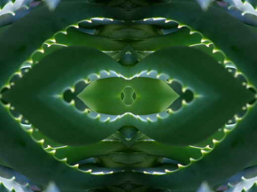 9154 (a): :1600x1200